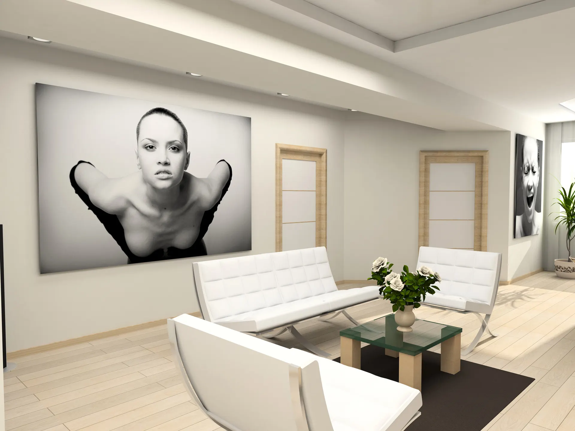 Cuadros canvas